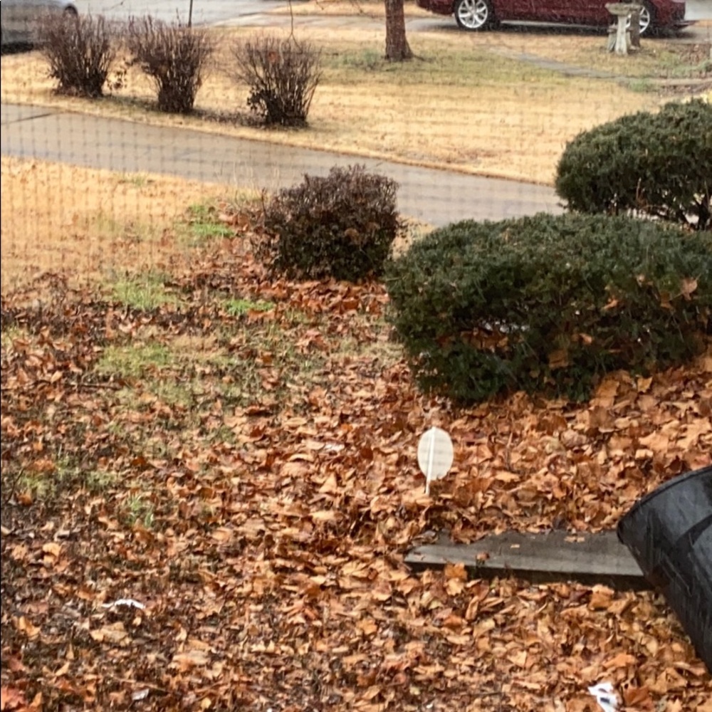 Meet your Posher, Darren